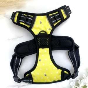 Blue Teddy Honey Bee Harness