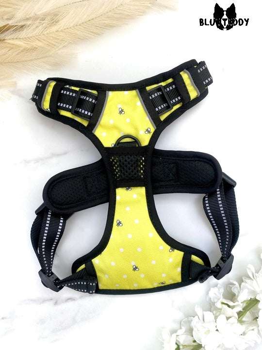 Blue Teddy Honey Bee Harness