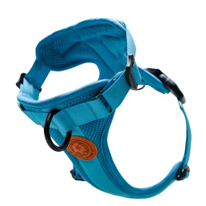 Arctic Sammy Adventure Harness Teal