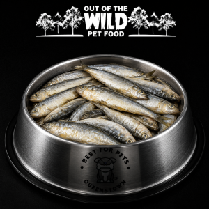 Out of The Wild Pilchards 1kg