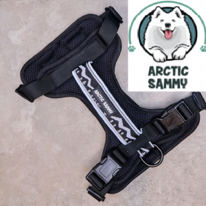 Arctic Sammy Adventure Harness Black