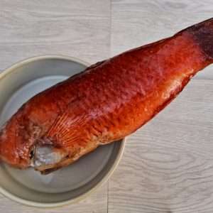 Parrotfish